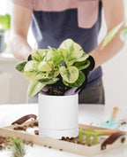 LaDoVita 3 Pack Ceramic Plant Pots 6/5/4 inch, Flowerpot - Image 8