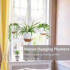Set of 3 Hanging Planters for Indoor Plants - Image 2