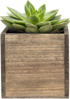 CYS EXCEL Cube Planter Box - Image 5