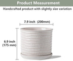 8 Inch Plant Pot: Ceramic Planter - Image 2