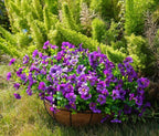 Artificial Flowers for Outdoor, UV Resistant Fake Silk Flowers, Realistic Faux - Image 4