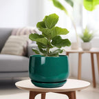 G EPGardening Ceramic Pots for Plants - Image 4