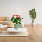 6-Inch Self-Watering Plant Pot - Image 6