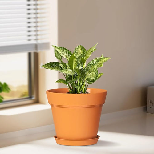 5 Inch Plastic Plant Pots with Drainage Holes and Trays – 6 Pack Small Nursery - Image 2