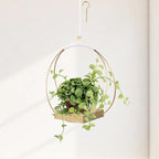 Hanging Planters for Indoor Plants by Adnkwolivt
