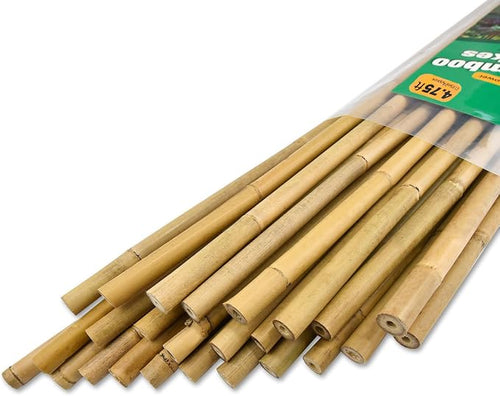 25pcs 1/2" D Thicker Heavy Duty Bamboo Stakes, 4.75FT Plant Stakes, Natural by Jollybower