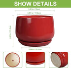 G EPGardening Ceramic Pot for Plants - Image 3