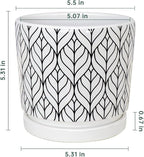 Ton Sin Plant Pots, 5.5 Inch White Pots - Image 2