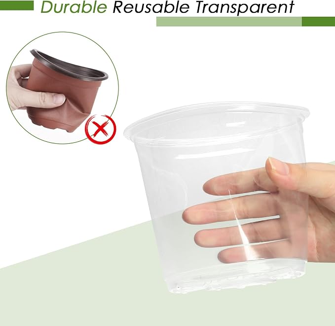 6 Inch Clear Nursery Pots for Plants - Image 5