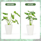 10PCS Iron Monstera Plant Support, Uniquely Designed Indoor Plant Accessories - Image 3