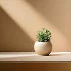 Ceramic Self Watering Plant Pot | 6.8 Inch Pot - Image 7