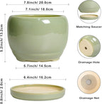 SQOWL 8 Inch Plant Pot - Image 3