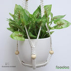 feedee Macrame Plant Hanger, Hanging Planters - Image 6