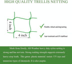 Trellis Netting for Climbing Plants - Image 3