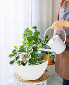 LaDoVita Plant Pots with Drainage Holes, 12 Inch Large Planters - Image 7