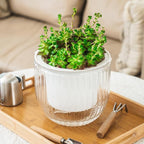 Melphoe 1 Pack Self Watering Hanging Planters Indoor Flower Pots, 8.3 Inch - Image 4
