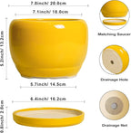 SQOWL Ceramic Plant Pot - Image 3