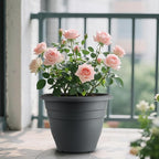 12 Inch Plant Pots, Large Planters - Image 7