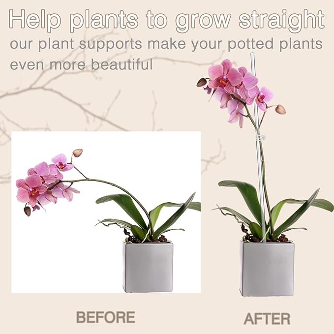Plant Stakes, Plant Sticks 20PCS Acrylic Clear Plant Support Stakes, 18 Inches - Image 3