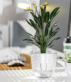 Self Watering Pots for Indoor Plants, Flower Pots, Self Watering Plant Pot-3pcs - Image 8