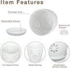Oairse 6 inch Orchid Pots with Holes, Indoor Plant - Image 3