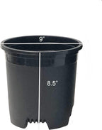 2 Gallon 10-Pack Nursery Pot Black Plastic Planters - Image 2