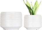 8 Inch + 6 Inch Ceramic Plant Pots Indoor by Bestseler