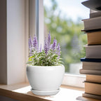 Ceramic Pot for Plants - Image 2