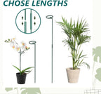 MAFONE 6 Pack 24inch Plant Support Stakes, Plant Stick - Image 7