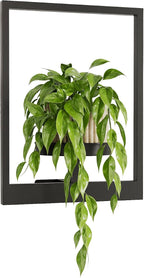 Wall Plant Holder Wall Planters - Image 8