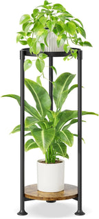 iDavosic.ly 2 Tier Corner Plant Stand Indoor, 30 Inch Tall Vertical Metal by iDavosicly