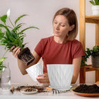 7 Inch Plant Pots 5 Pack, Flower Planters - Image 5