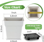 6-Pack 7 Inch Square Planters - Image 4
