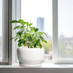 SQOWL Ceramic Pot for Plants - Image 4