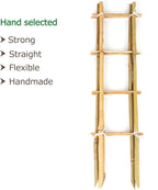 Bamboo Trellis, 16in Ladder-Shaped Trellis - Image 2