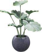 14.5 Inch Dia Plastic Round Black Planters - Image 4