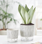 Self Watering Pots for Indoor Plants, Flower Pots, Self Watering Plant Pot-2pcs - Image 8