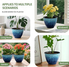 Flower Pots, 8 Inch Plastic Plant Pots - Image 7