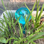 10pcs Plant Self Watering Globe Stakes, Plant Watering Stakes Automatic Plant - Image 3