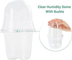 MIXC Clear Plant Nursery Pots - Image 2