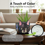 Star Black Cat Decorative Flower Pot, Handcrafted Ceramic Planter - Image 2
