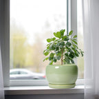 SQOWL 8 Inch Plant Pot - Image 4