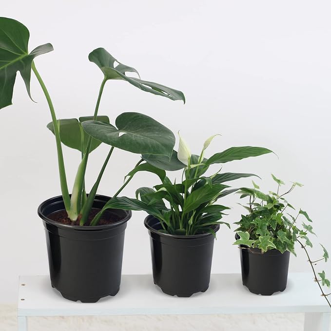 RAOOKIF 50 Pack Nursery Pots, 3 Inch Nursery Pot - Image 5