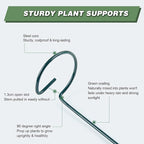 Joyhalo 12 Pack Plant Stakes, 16 Inch Plant Support Stakes, Plant Sticks Support - Image 5