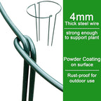 HiGift 8 Pack Plant Support Stakes, Half Round Metal Garden Plant Stake Indoor - Image 3