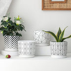 Ton Sin Plant Pots, 5.5 Inch White Pots - Image 5