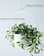 Hanging Planter Indoor Modern Boho Plant Pot Metal Wall and Ceiling Plant Holder - Image 6