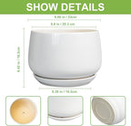 G EPGardening Ceramic Planter 9 Inch - Image 3