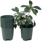 30-Pack Wholesale Nursery Pot in Bulk 5.5 Inch 0.5 Gallon Plastic Planters by CottaPlanters