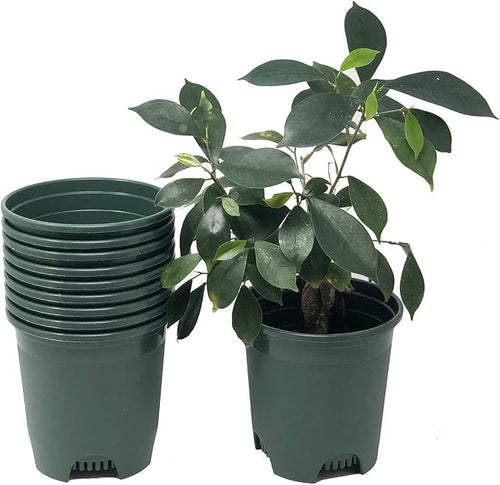 30-Pack Wholesale Nursery Pot in Bulk 5.5 Inch 0.5 Gallon Plastic Planters by CottaPlanters
